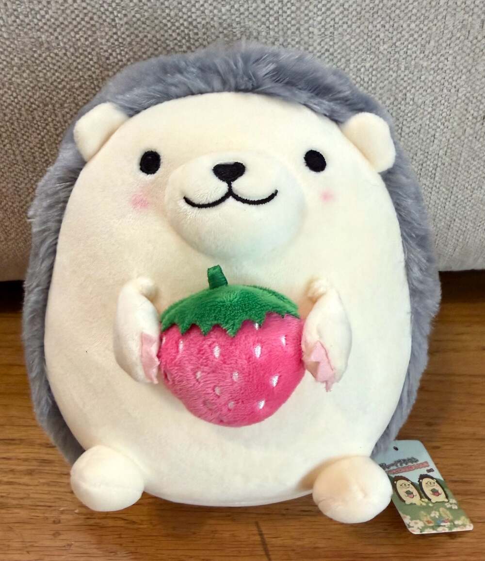 Takashoji Gray Hedgehog Holding Strawberry Plush 8” Kawaii Japanese NWT